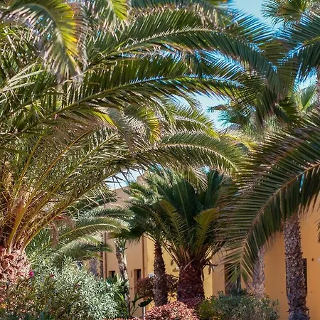 Oasis Fuerteventura 3*