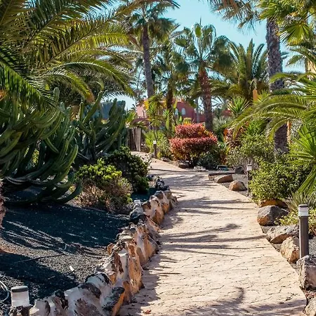 מלון דירות Oasis Fuerteventura Beach 3*