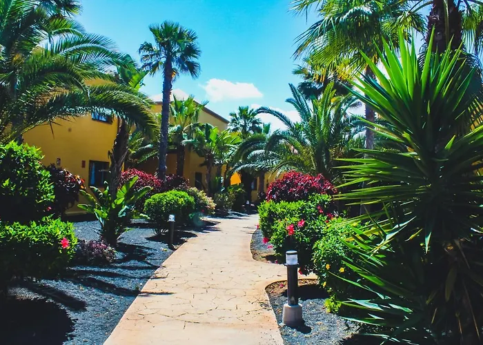 Oasis Fuerteventura 3*