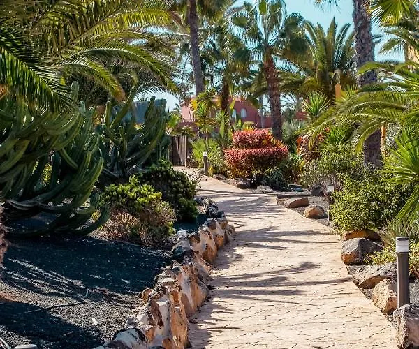 Hotel Oasis Fuerteventura 3*